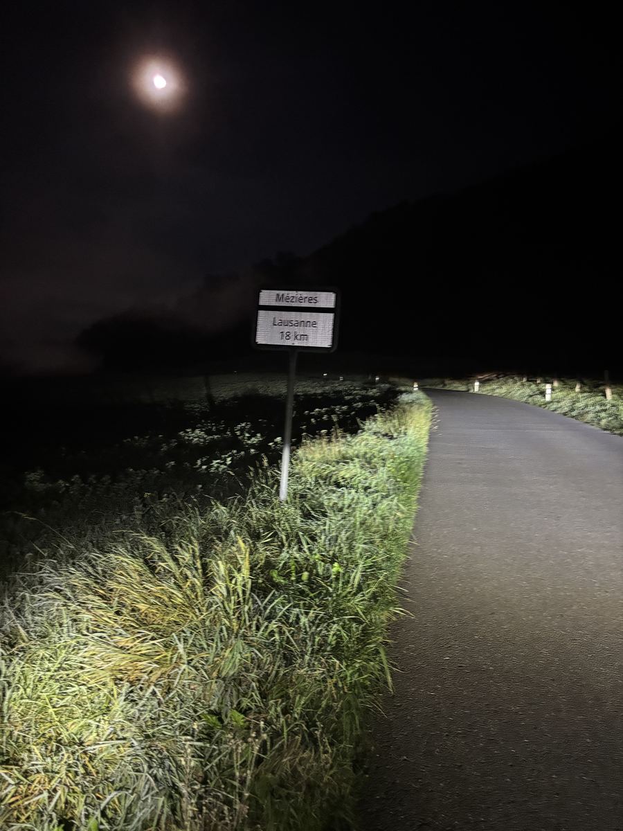 A dark country road under the moon